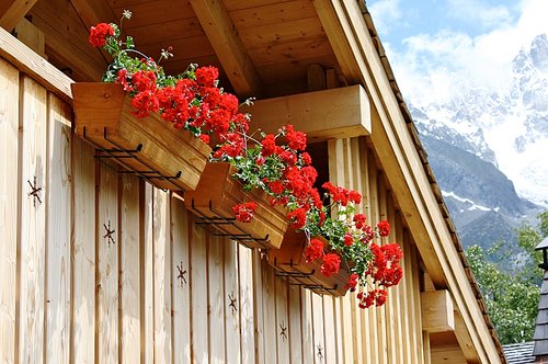 Baskets of geraniums on the first floor balcony