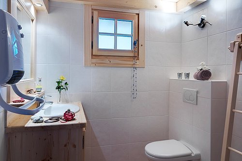 Shower room