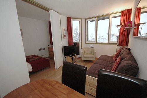 Open plan living area & bedroom (can be closed off)