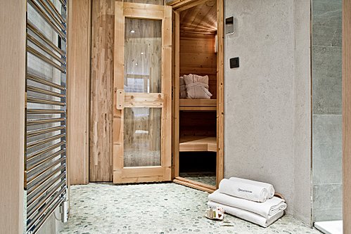 Sauna and shower room