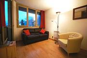 Chamois Blanc 608