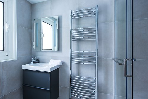 Groundfloor ensuite shower room
