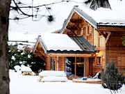 Chalet les Drus