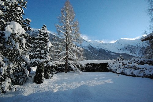 View of Mont Blanc from the chalet
