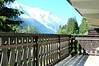 Balcony View, Androsace 24