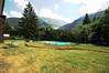 Garden and Pool, Androsace 24