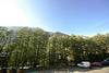 Grepon view
